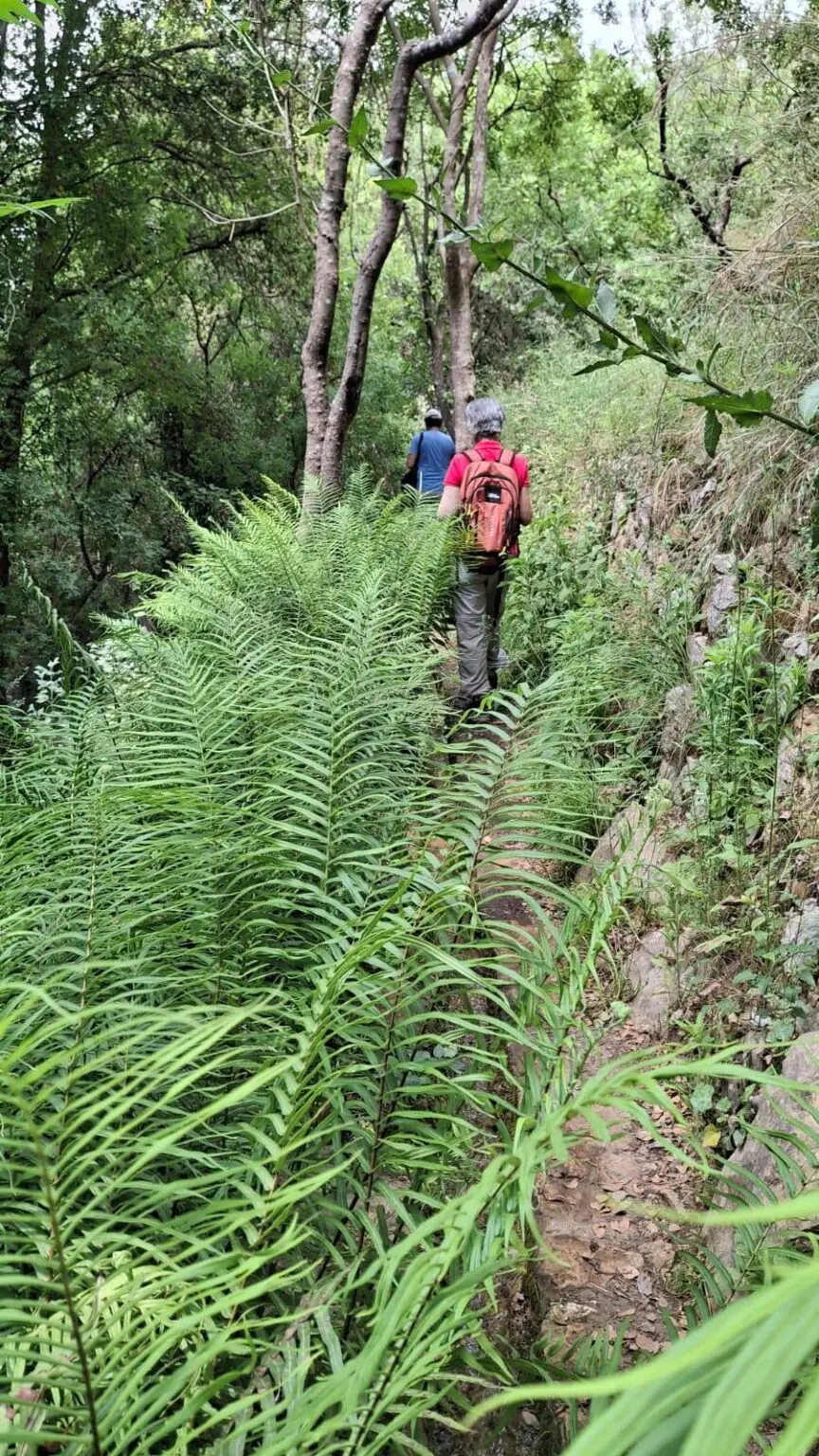 Ubuntu Silent Hikes